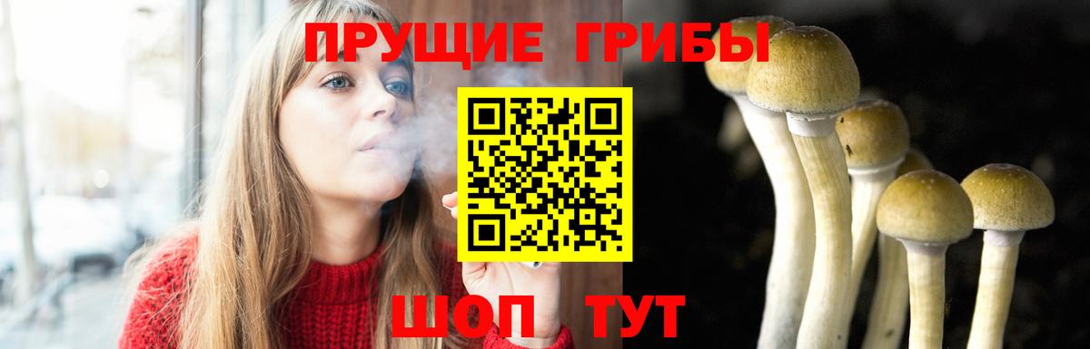Кушва  как найти закладки  Вход с VPN  Псилоцибиновые грибы Psilocybe 